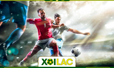 Địa chỉ giải trí hàng đầu nâng tầm trải nghiệm của người hâm mộ bóng đá Xoilac TV